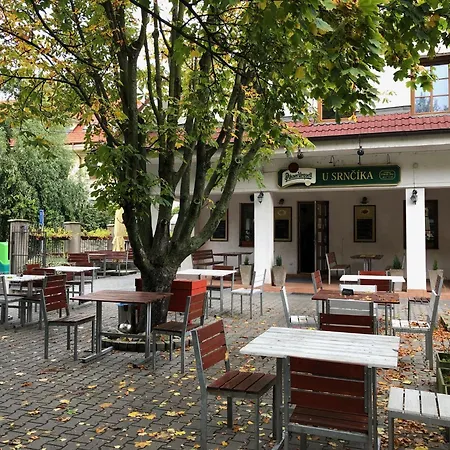 Penzión U Srnčíka-2
